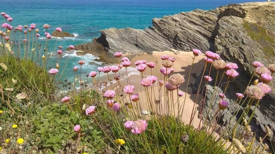 Quartos Abelha Porto Covo Εξωτερικό φωτογραφία